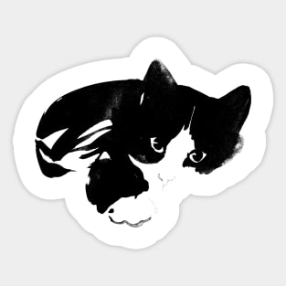 black and white cat Sticker